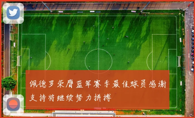 佩德罗荣膺蓝军赛季最佳球员感谢支持将继续努力拼搏