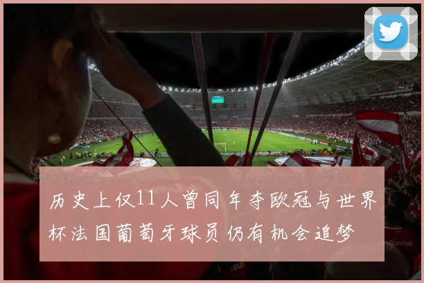 历史上仅11人曾同年夺欧冠与世界杯法国葡萄牙球员仍有机会追梦